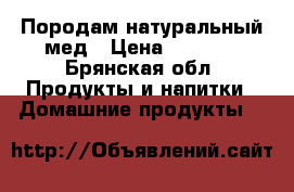 Породам натуральный мед › Цена ­ 1 000 - Брянская обл. Продукты и напитки » Домашние продукты   